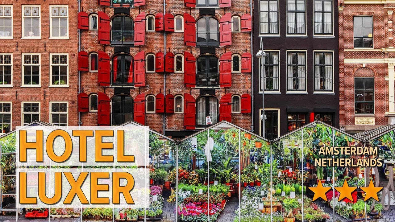 Hotel Luxer Hotel Review Hotels In Amsterdam Netherlands Hotels hotel-luxer-hotel-review-hotels-in-amsterdam-netherlands-hotels