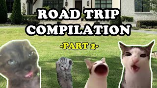 FAMILY ROAD TRIP COMPILATION PART 2 - CAT MEMES #cat #catmemes