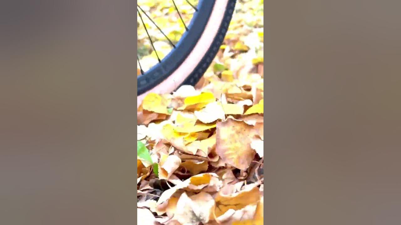 Велосипеды Time try - YouTube