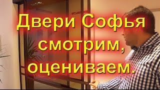 установка дверей софья видео