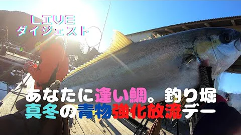 釣り堀 釣り堀