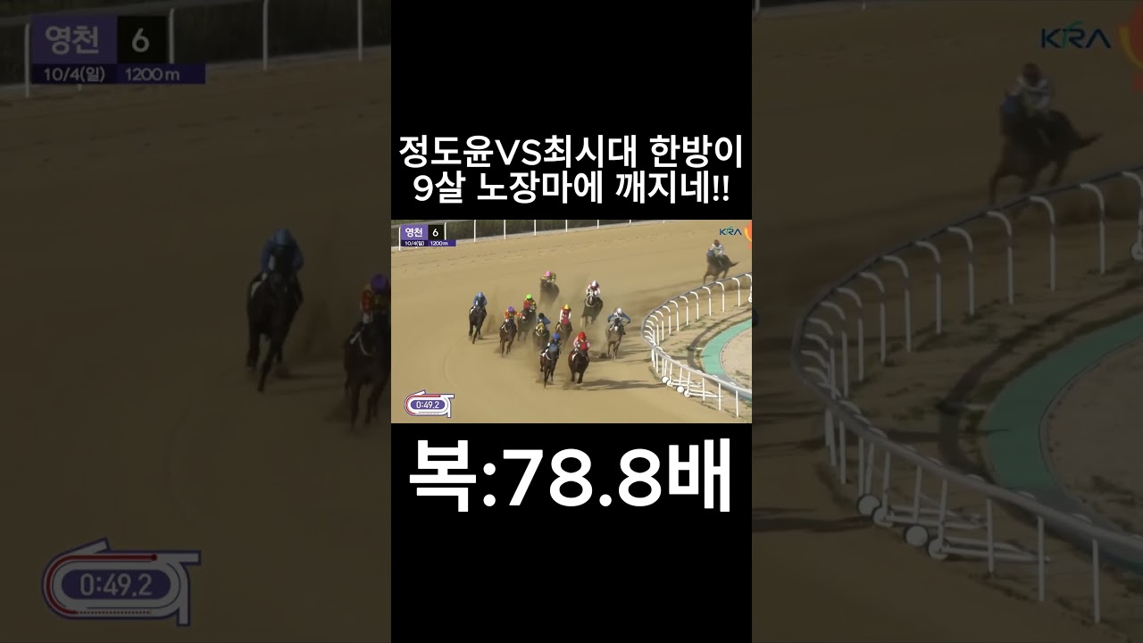 9살 노장마 한테 깨지네   #경마  #경마예상  #경마방송  #경마예상방송  #서울경마  #금요경마  #토요경마  #일요경마 #경마장