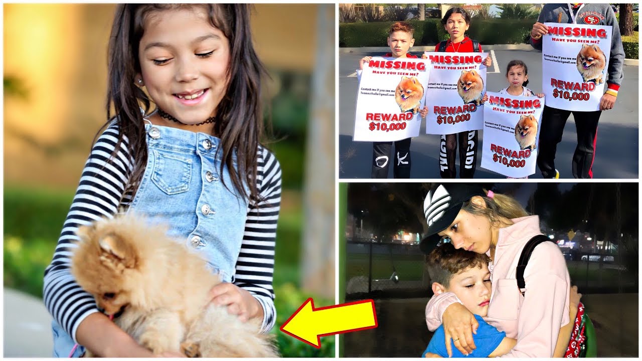 DO WE FINALLY BRING OUR PUPPY MARCH POM HOME?!! *Part 3* DO WE FINALLY BRING OUR PUPPY MARCH POM HOME?!! *Part 3*