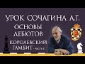 Видеоурок А.Г. Сочагина. Основы дебютов. Королевский гамбит (часть 2)