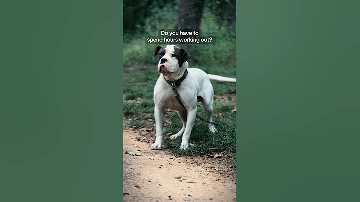 The MOST important recipe #americanbulldog #bjbd #ambull #bulldog #kennel #bestdogs #diet #dogfood