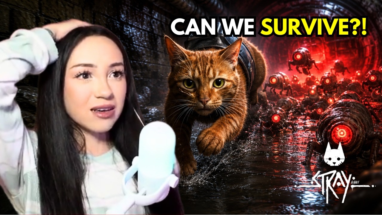 This is TERRIFYING! | STRAY Part 4 - YouTube