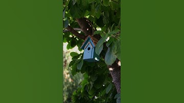 Wist u dat: de grote impact van kwantificering op de efficiëntie van AI