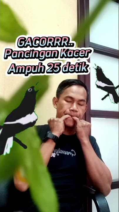 Suara Pancingan Kacer dari Jari Tangan @jarigacor