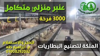 تجهيز عنبر منزلي متكامل 3000 فرخة بطاريات دواجن من شركة الملكة لتصنيع البطاريات