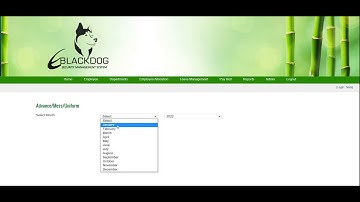 EBLACKDOG.com SME payroll training on payroll module (PART 5)