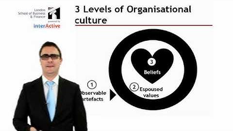 LSBF Global MBA - Lecture: Introduction to Organisational Culture and Values