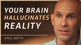 Your Conscious Experience Is a Sort of Hallucination | Anil Seth