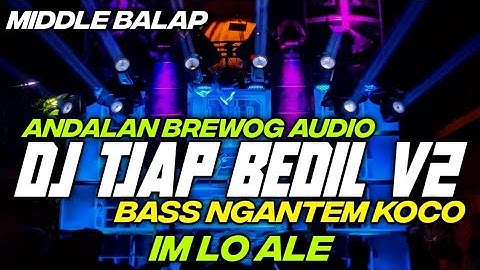 DJ PARTY IM LO ALE TJAP BEDIL V2 ANDALAN BREWOG AUDIO BY HKS PROJECT