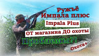 Импала Плюс Турция Impala Plus Turkey ОБЗОР ОТ магазина ДО охоты. Первые выстрелы. Проблемы #impala