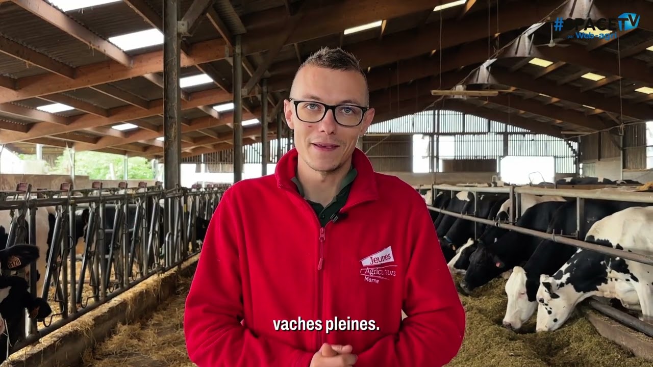 « J’ai gagné presque un mois d’IVV grâce aux colliers de détection de chaleur »