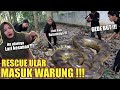 Nekat  rescue ular 3 meter masuk ke warung  hampir kena gigit 