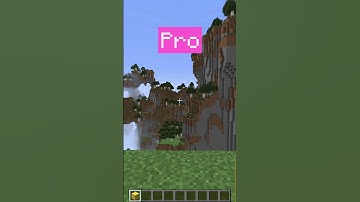 NOOB vs PRO vs HACKER: Bridging! #shorts