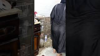 يوميات فلاحة مربربة
