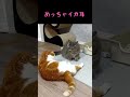 やめなさい #shorts