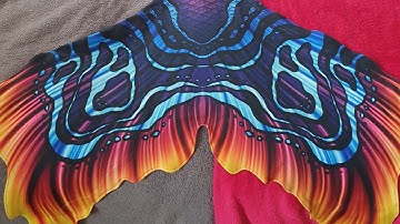 Unboxing the Mertailor Carnival Oceana Whimsy Tail
