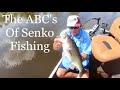 ABC's of Senko fishing