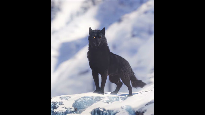 "He Saved Them From Death" - The Call Of The Wild Edit | EMIN ft. JONY - Каmin (slowed)  #Edit