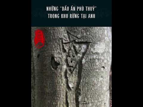 Những dấu ấn