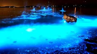 Top 10 Abnormal Color Lakes