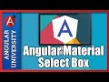 💥 Angular Material Select Box - Lots Of Useful Options