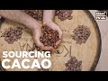 Approvisionnement en cacao  p44  tlvision au chocolat artisanal