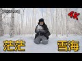 漠河，中国最北端！-40度的极寒之旅开始了！第一天【罗宾VLOG】