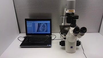Zeiss Primovert Inverted Trinocular Microscope - 11889