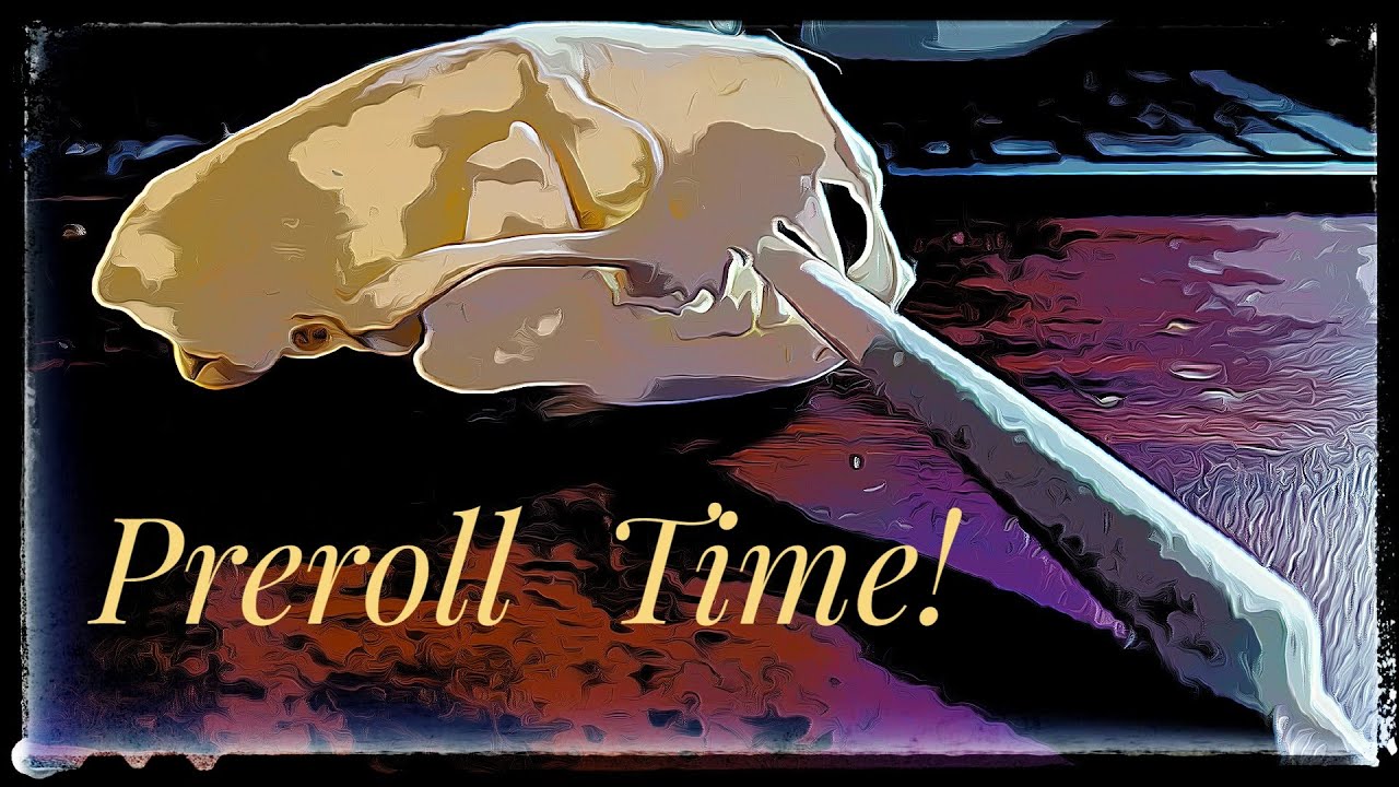 Preroll Tokes - River Walks and More YouTube Stuff