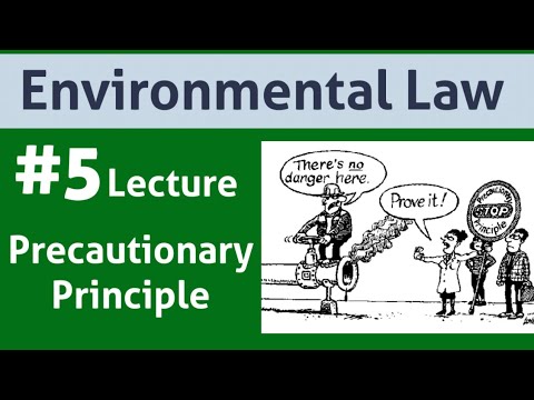 Environmental law lawyer