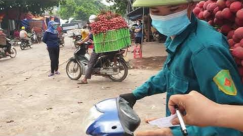 Báo Giá Vải Tại Ngã Ba Áp  l Vải Thiều Lục Ngạn Bắc Giang