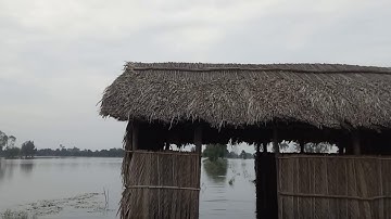 Mùa nước nổi ở thạnh hóa long an