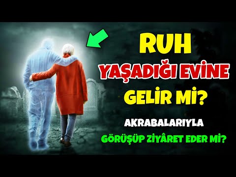 Video: Deadbeat analar varmı?