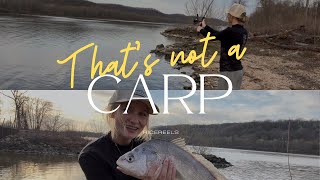 I Thought I Caught a Carp… I Was Wrong!