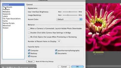 Tutorial: Adobe Bridge CS5 For Beginners Lesson 2