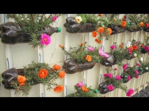 👉TOUR PELO MEU JARDIM DE ONZE HORAS!!! plantas de sol!! - thptnganamst.edu.vn