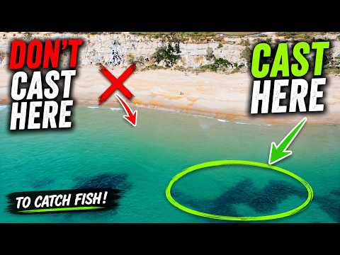 Get Hooked On Fishing Find The Big 5 Location Closest To Your Dream Catch