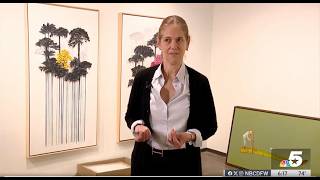 NBC 5 DFW Interviews Beatriz Esguerra Art at Dallas Art Fair 2025
