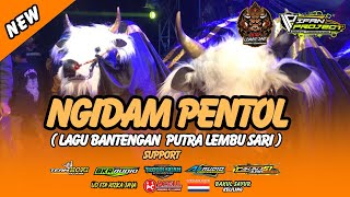 DJ BANTENGAN !! PUTRA LEMBU SARI (NGIDAM PENTOL)