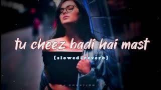 TU CHEEZ BADI HAI MAST MAST TU☺️😵😊 [slowed reverb]#popular#mohrasongs#alltimehitsongs#akshaykumar
