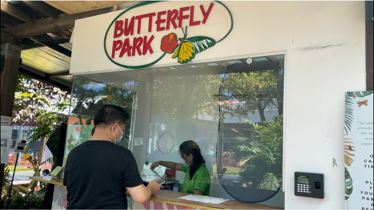 Butterfly Park and Insect Kingdom at Sentosa Explore with Caleb Sim YouTube Butterfly Park and Insect Kingdom at Sentosa Explore with Caleb Sim YouTube