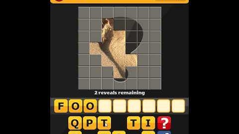 Pop the Pic Classic 5-24 Answer Guide