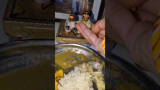 Laddu Gopal Ratri Bhog