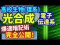【高校生物 10】同化【C3植物の光合成】を宇宙一わかりやすく