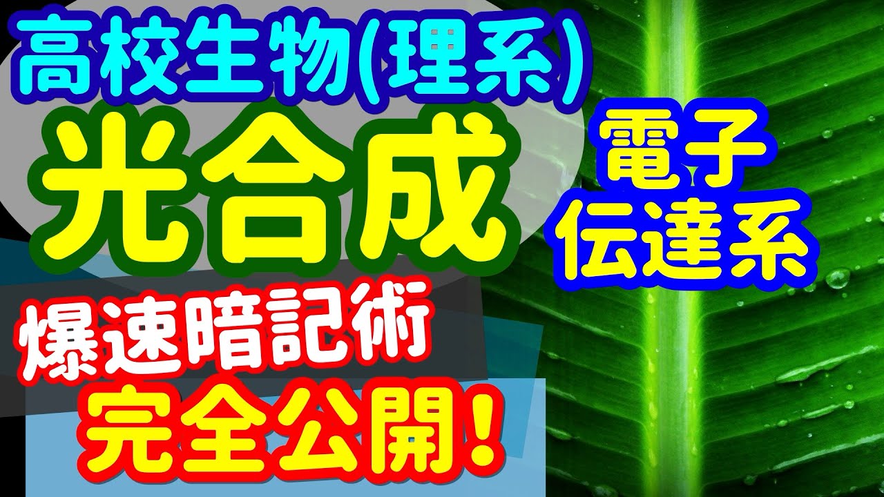 高校生物 10 同化 C3植物の光合成 を宇宙一わかりやすく Youtube