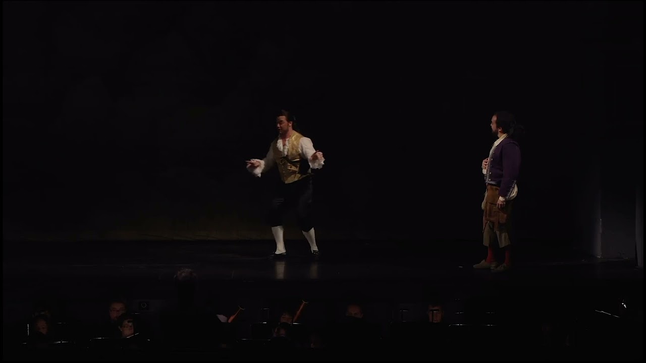 Fin ch’han dal vino - Mozart - Don Giovanni (Ben Strong)